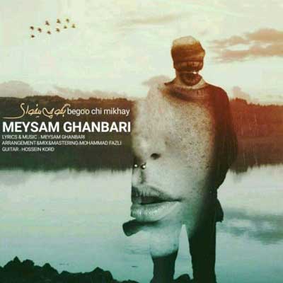meysam-ghanbari-bego-chi-mikhay