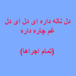 دانلود آهنگ دل ناله داره ای دل ای دل غم چاره داره ریمیکس