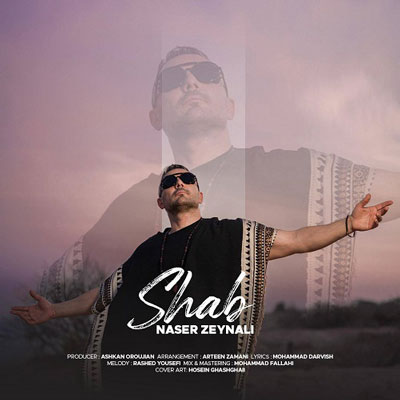 ناصر-زینعلی-شب