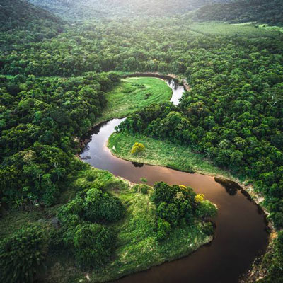 jungle-amazon