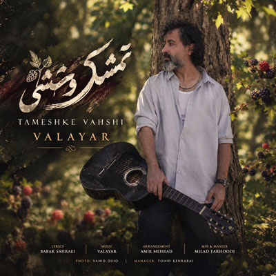 والایار-تمشک-وحشی